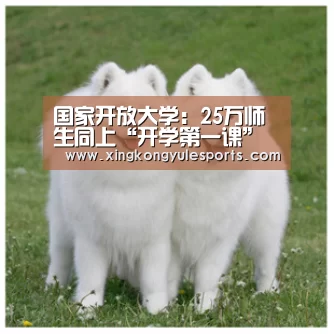 星空娱乐网址