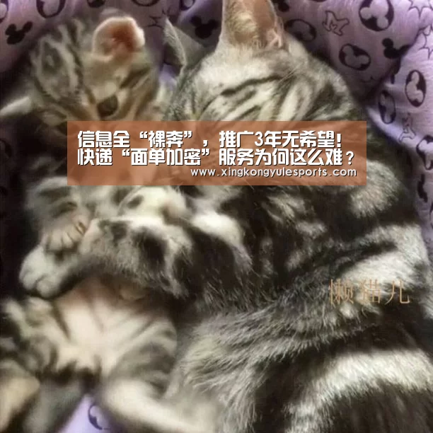 星空娱乐app
