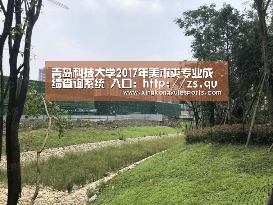 青岛科技大学2017年美术类专业成绩查询系统 入口：http://zs.qust.edu.cn/query_score|星空娱乐(图2)