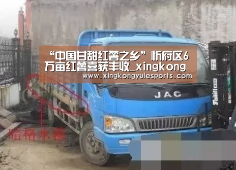 “中国甘甜红薯之乡”忻府区6万亩红薯喜获丰收_xingkongyule(图1)