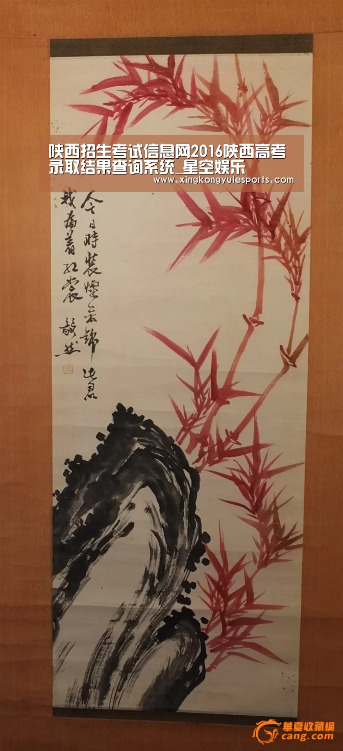 星空娱乐网址